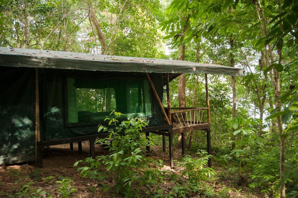 La Leona Eco Lodge Carate Zewnętrze zdjęcie
