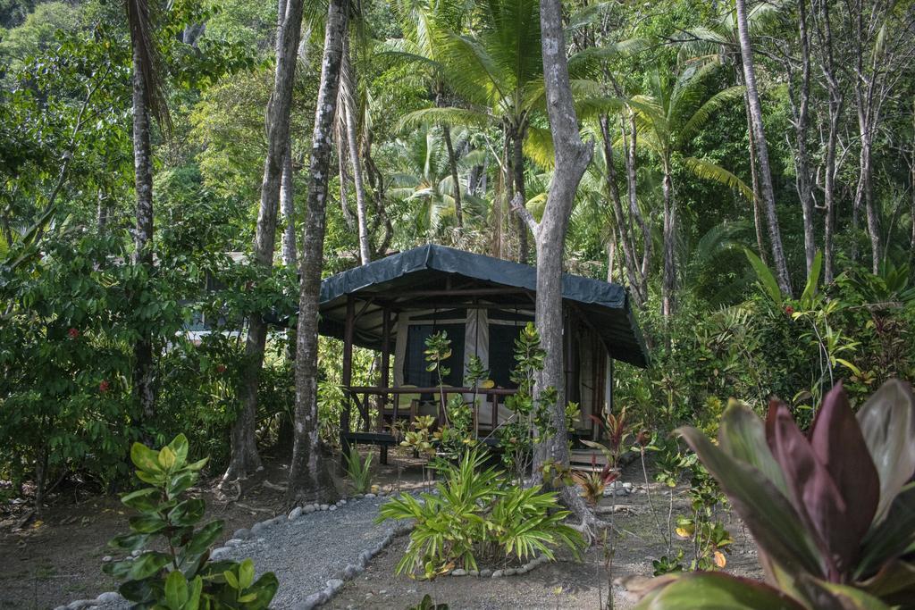 La Leona Eco Lodge Carate Zewnętrze zdjęcie