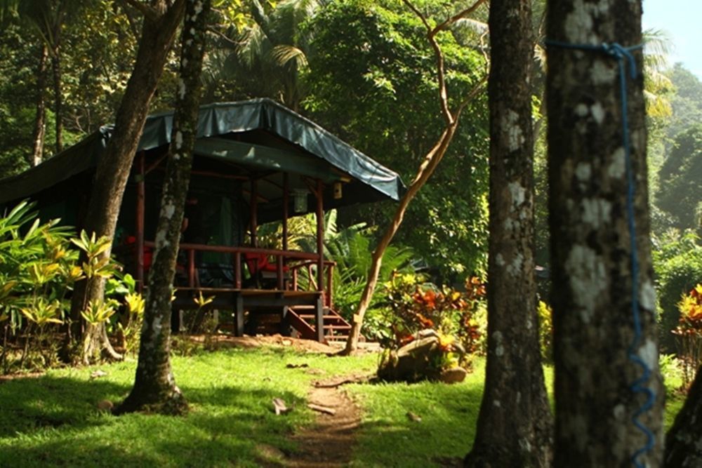 La Leona Eco Lodge Carate Zewnętrze zdjęcie
